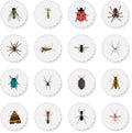 Realistic Emmet, Midge, Bee And Other Vector Elements. Set Of Insect Realistic Symbols Also Includes Grasshopper