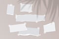 Realistic empty torn paper notes with sticky tape on beige background with palm leaves shadow overlay. Vector Royalty Free Stock Photo