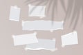 Realistic empty torn paper notes with sticky tape on beige background with palm leaves shadow overlay. Vector illustration of mood Royalty Free Stock Photo