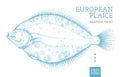 Realistic european plaice fish. Seafood menu design