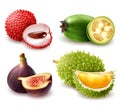 Realistic Exotic Fruits Set