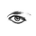 Realistic expressive eye isolate on a white background. Fashion sketch. Vector