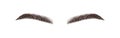 Realistic eyebrows on white background. Permanent make-up and microblading. Brow studio logo. Linear vector Illustration