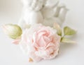 Realistic Fabric Silk flower in light pink cream and white colors rose hand made on white blurred background with angel or amur st Royalty Free Stock Photo