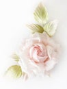 Realistic Fabric Silk flower in light pink cream and white colors rose hand made on white blurred background. Vintage retro style Royalty Free Stock Photo