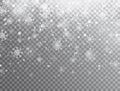 Realistic falling snowflakes isolated on transparent background. Winter background with snow. White snowflakes flying in Royalty Free Stock Photo