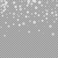 Realistic falling white snow overlay on transparent background. Snowflakes storm layer. Snow pattern for design Royalty Free Stock Photo