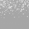 Realistic falling white snow overlay on transparent background. Snowflakes storm layer. Snow pattern for design Royalty Free Stock Photo