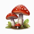 Realistic Fantasy Artwork: Brown And Red Mushrooms On Grass