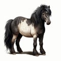 Realistic Fantasy Drawing Of A Nightcrawler Shetland Pony