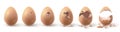 Realistic farm chicken egg broken, hatching chick stages. Cracked eggs with eggshell pieces. 3d fragile egg break in Royalty Free Stock Photo
