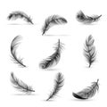 Realistic Feather Black Icon Set