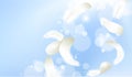 Realistic feather cosmetic light background blue sunny sky spring white. 3d template branding landscape illustration