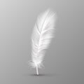 Realistic feather. Single white soft bird wings smooth fluff on transparent background vector image