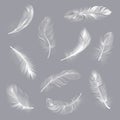 Realistic feathers. Fluffy white twirled feathers, bird wing falling weightless feather, flying lung quill isolated Royalty Free Stock Photo