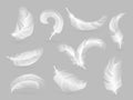 Realistic feathers. White bird falling feather isolated on white background vector collection Royalty Free Stock Photo