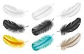 Realistic feathers: white, black and colorful 3d plumes from bird wings isolated on white background Royalty Free Stock Photo
