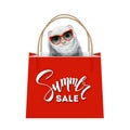 Realistic Ferret in Sunglasses sitting in the Gift Bag.