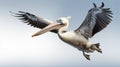 Realistic Fine Art Photography Of Pelican In Flight