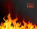 Realistic Fire Flame Background