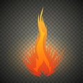 Realistic fire flames isolated on transparent background. Special burning light effect with sparks for design and Royalty Free Stock Photo