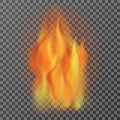 Realistic fire flames isolated on transparent background, vector Royalty Free Stock Photo