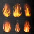 Realistic fire flames set on transparent background. 3D bonfire