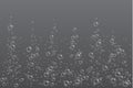 Realistic fizzing air bubbles, effervescent water on transparent background.