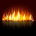 Realistic flame, fire on black background - vector