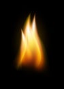 Realistic flame tongue element