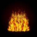 Realistic flame, yellow fire on black background - vector