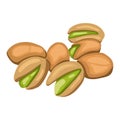 Realistic flat colored pistachios in group isolated on white background. Salty delicious organic food, nutshells. peeled. Food