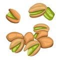 Realistic flat colored pistachios in group, separate isolated on white background. Salty delicious organic food, nutshells. peeled