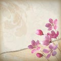 Realistic floral vector spring background Royalty Free Stock Photo