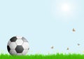 Realistic football on green grass with sunlight on blue sky background