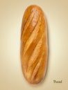Realistic french bread