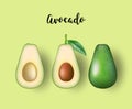Realistic fresh fruit avocado on greenbackground. Whole and cut in half avocado with pit. Vector image