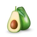 Realistic Fresh Fruit Avocado On White Background. Whole And Cut In Half Avocado With Pit. Vector Image