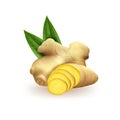 Realistic fresh ginger root on white background