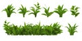 Realistic fresh green grass, weed and herb leaves. Spring plant tufts and bushes. Summer field, garden lawn or meadow