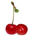 Realistic fresh juicy Cherry. 3d vector illustration.