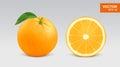 Realistic fresh orange vector illustration, icon. Whole and half slice of orange Royalty Free Stock Photo