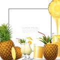 Realistic Fresh Pineapple Fruit Template