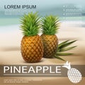 Realistic Fresh Pineapples Colorful Poster