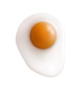 Realistic Fried Egg