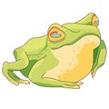 Realistic frog on white isolated backdrop stock vector illustration