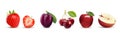 realistic fruit icons. Strawberry, Apple, Plum and Cherry.