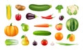 Realistic fruits vegetables. Big harvest clipart, isolated fresh farm market food elements. Pumpkin apple pepper cabbage