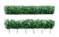 Realistic garden plant fence. Nature green seasonal bushes, tree crown bush foliage and green fence with cute flowers Royalty Free Stock Photo