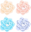 Realistic gardenia flower template set in pastel colors. Vector illustration